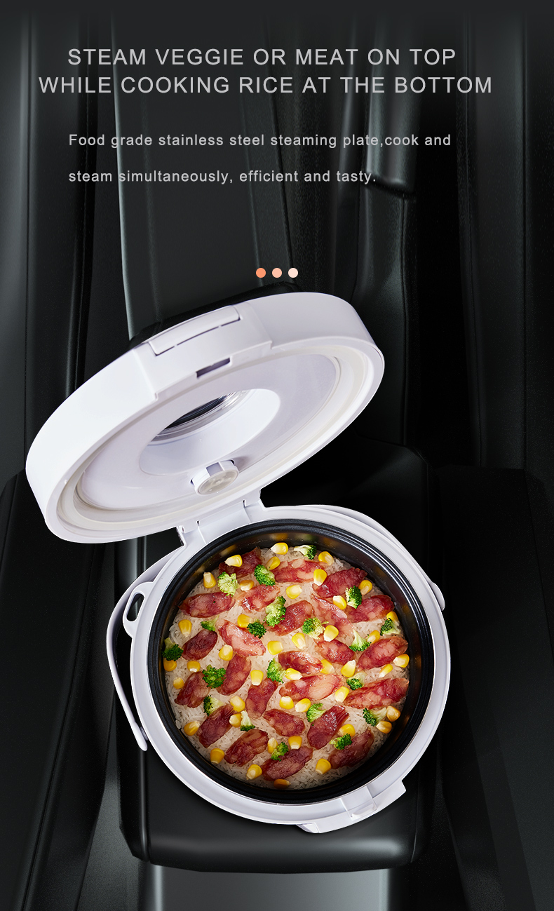 24V Rice Cooker  Truck Soup St - огляд і ціна Camping Cooking Rice